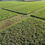 Fazenda com 143,9963 hectares, MS.