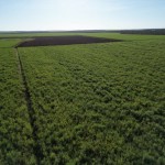 Fazenda com 143,9963 hectares, MS.