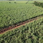 Fazenda com 143,9963 hectares, MS.