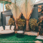 Venha viver num verdadeiro Oásis!