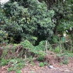 Terreno próximo ao Tênis Clube!
