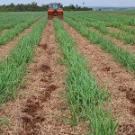 Fazenda com 143,9963 hectares, MS.