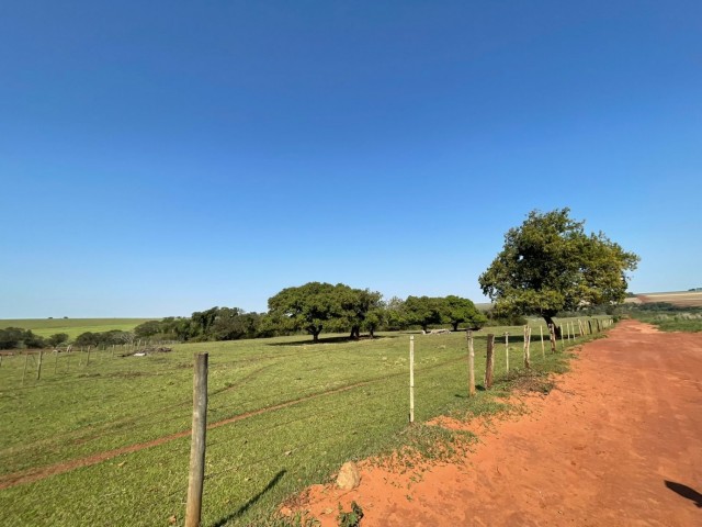 Área rural na Água do Saltinho.