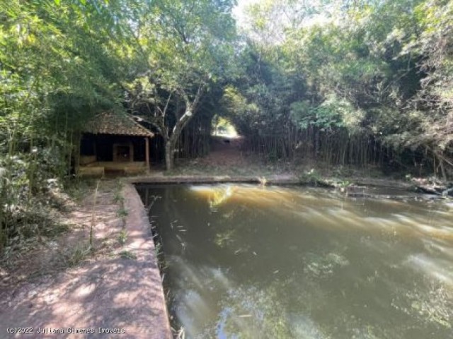 Linda chácara, próxima a Conceição de Monte Alegre